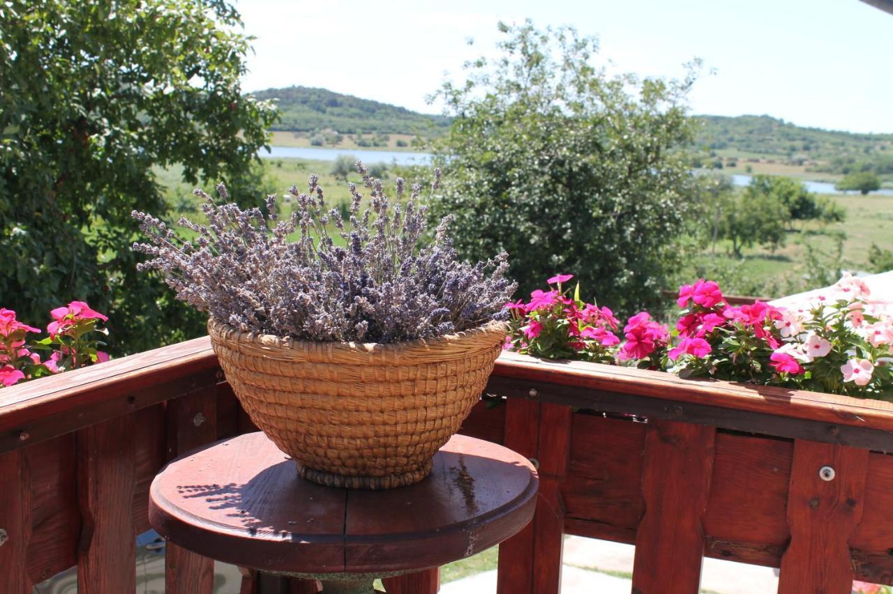 Apartman Nikol Apartment Tihany Ruang foto